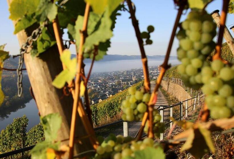 带1个卧室的公寓, Wein Und Gästehaus Hüls
