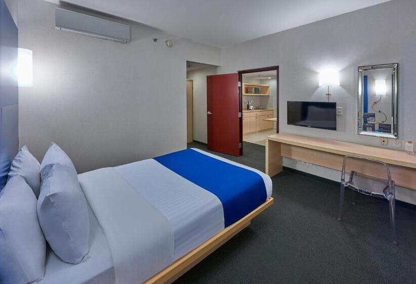 Полулюкс, City Express Plus By Marriott Ciudad De México Reforma El ángel