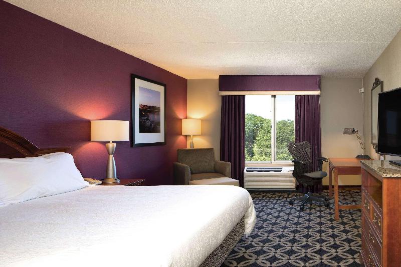 Стандартный Номер Кровать Кинг, Hilton Garden Inn Auburn Riverwatch