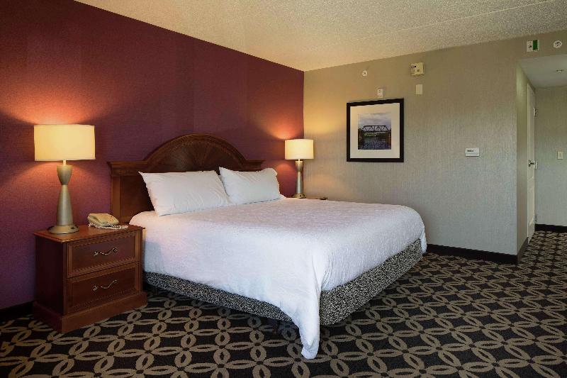 Стандартный Номер Кровать Кинг, Hilton Garden Inn Auburn Riverwatch