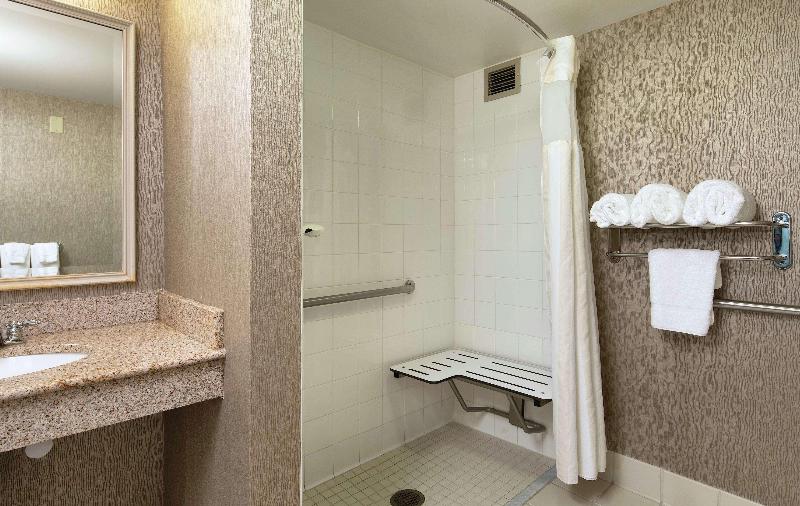 Стандартный Номер Кровать Кинг, Hilton Garden Inn Auburn Riverwatch