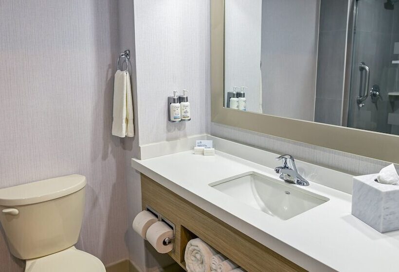 İki Çift Kişilik Yataklı Standart Oda, Holiday Inn Express Chihuahua, An Ihg