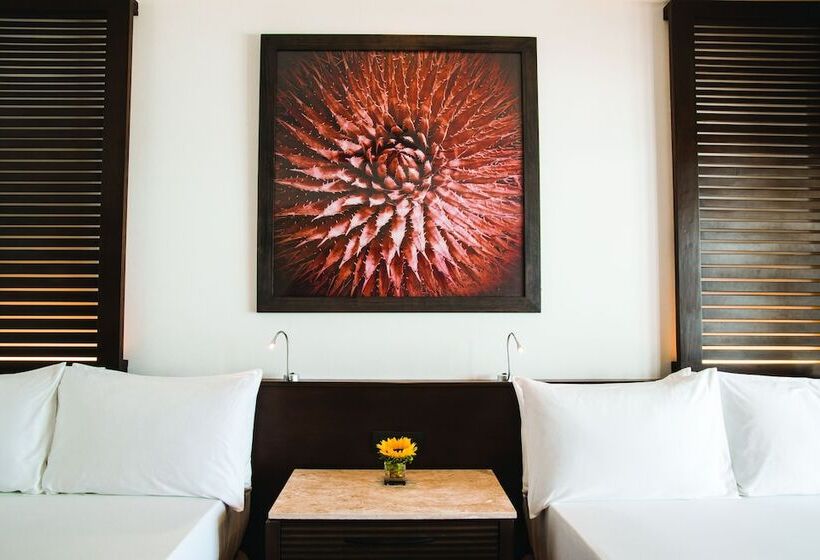 マスタールーム, Hyatt Ziva Los Cabos  All Inclusive