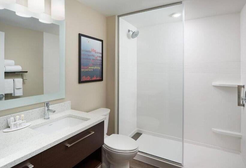 Студио Стандарт Кровать Кинг, Towneplace Suites By Marriott Leesburg
