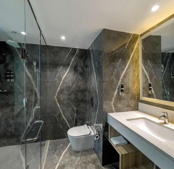 Полулюкс, Radisson Hotel Bareilly Airport