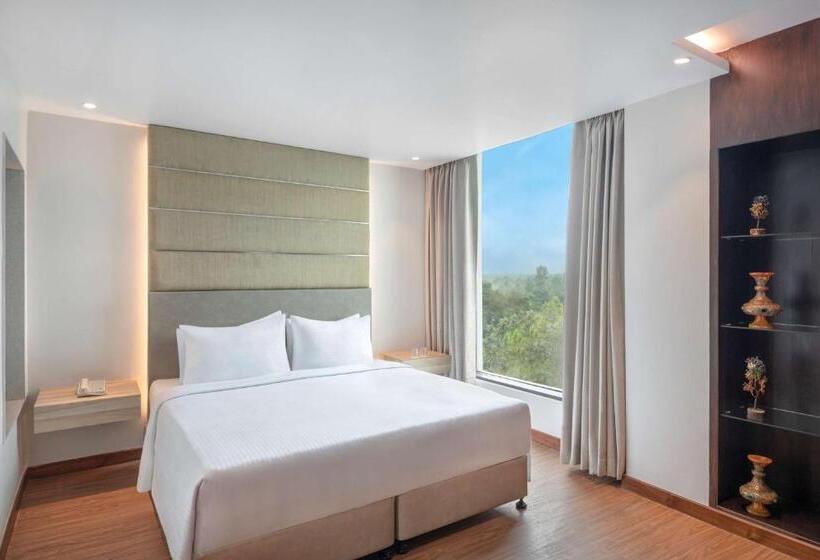 Полулюкс, Radisson Hotel Bareilly Airport