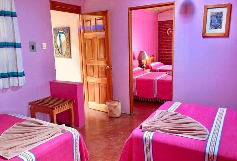 Семейный Номер, Cazomalli Oaxaca