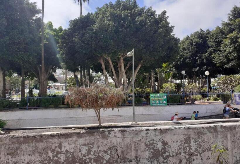 דירת חדר, Niza Apartamentos