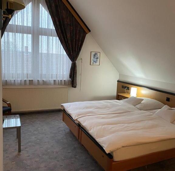 Номер Стандарт Трехместный, Seebach