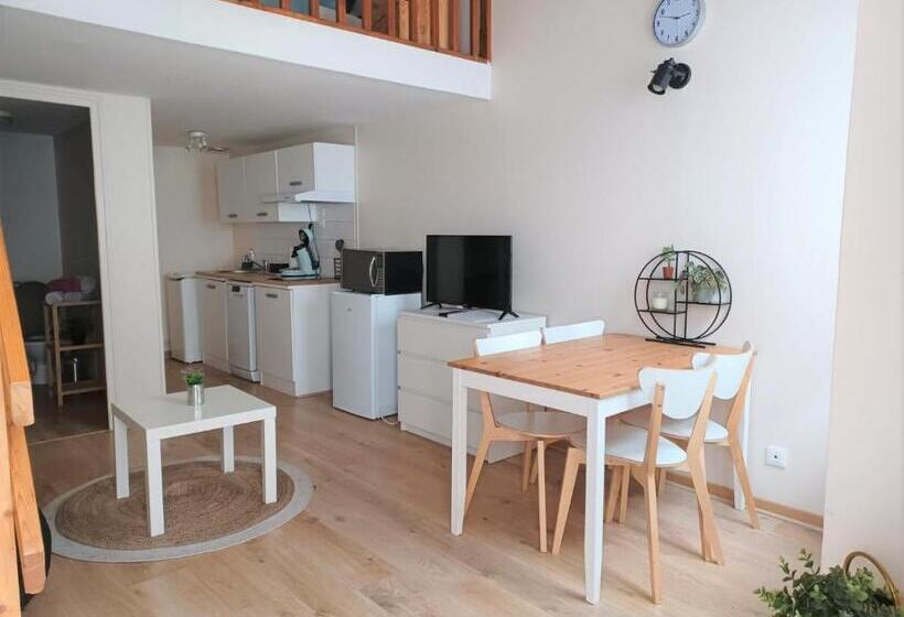 Апартаменты 1 Спальня, Duplex à La Gare Du Mans