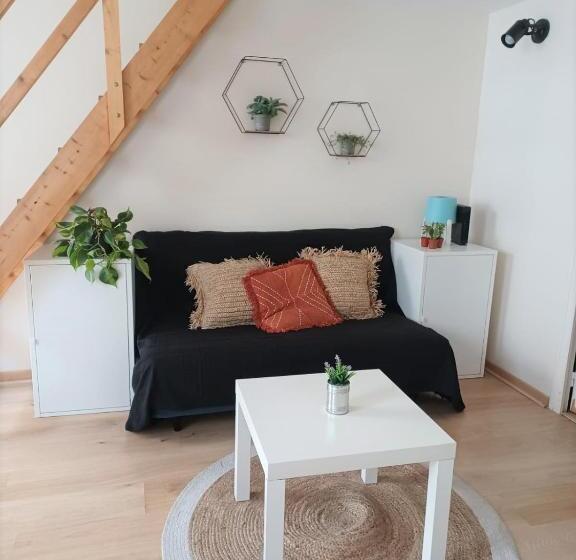 Апартаменты 1 Спальня, Duplex à La Gare Du Mans