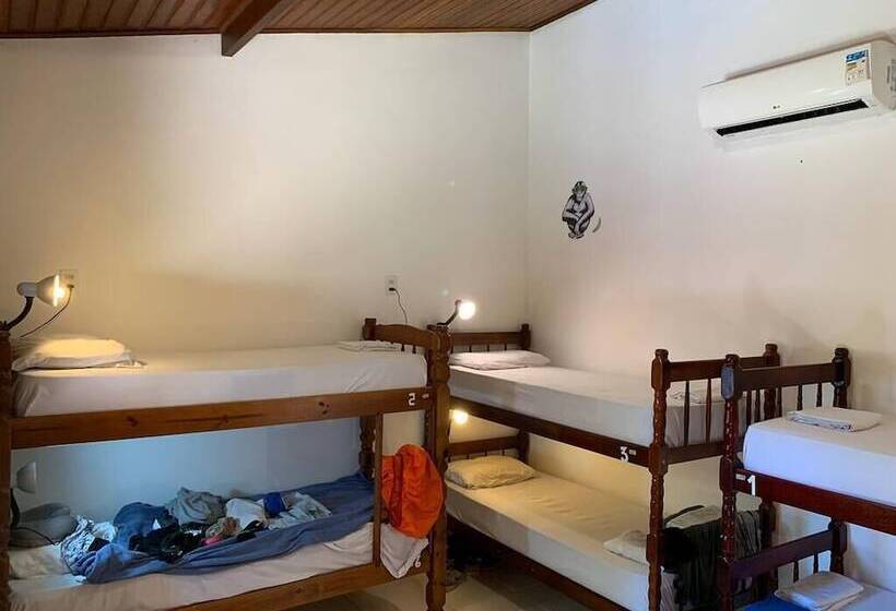 سرير فى غرفة مشتركه, Biergarten Hostel