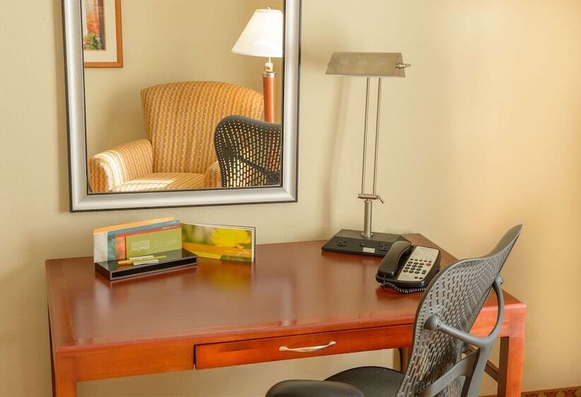 Номер Стандарт Адаптированный для Инвалидов, Hilton Garden Inn Joplin