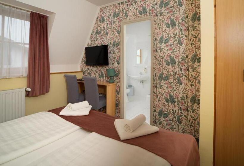 Трехместный Номер Deluxe, Regia Panzió