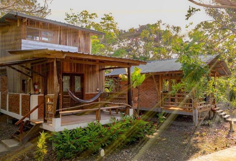 스탠다드 방갈로, Quinta El Mamey