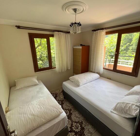 آپارتمان 1 خوابه با چشم‌انداز, Yeşil Doğa Tatil Apart