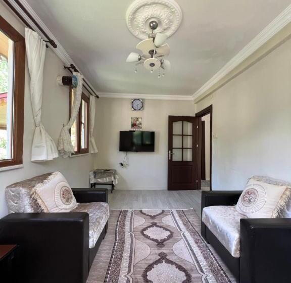 آپارتمان 1 خوابه با چشم‌انداز, Yeşil Doğa Tatil Apart