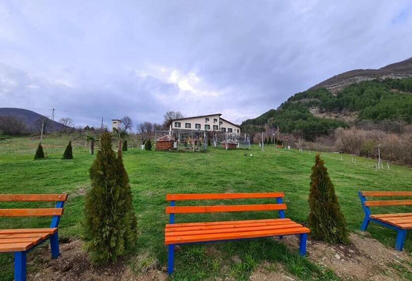 Номер Стандарт, Family Hotel Borovitsa