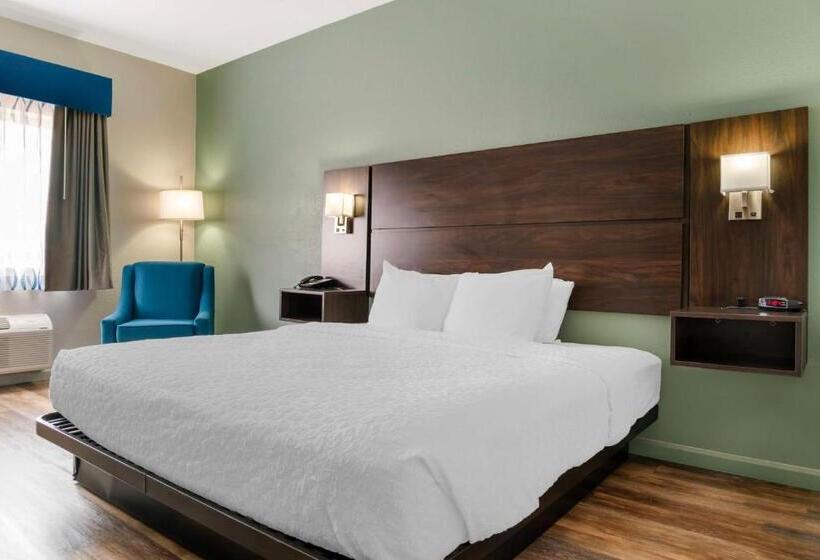 适合残疾人士使用的带超级大床的标准间, Best Western Clare