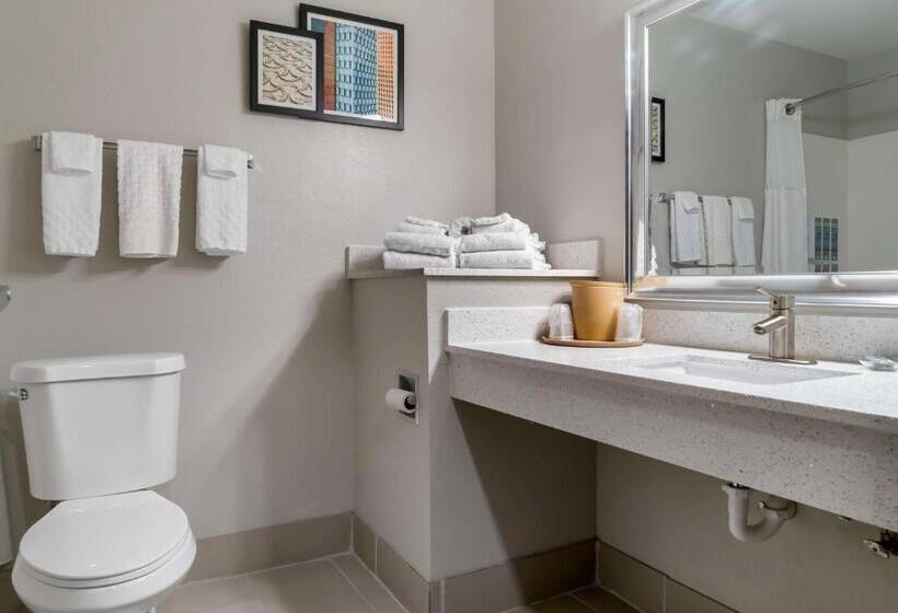 带大床的标准间, Best Western Clare