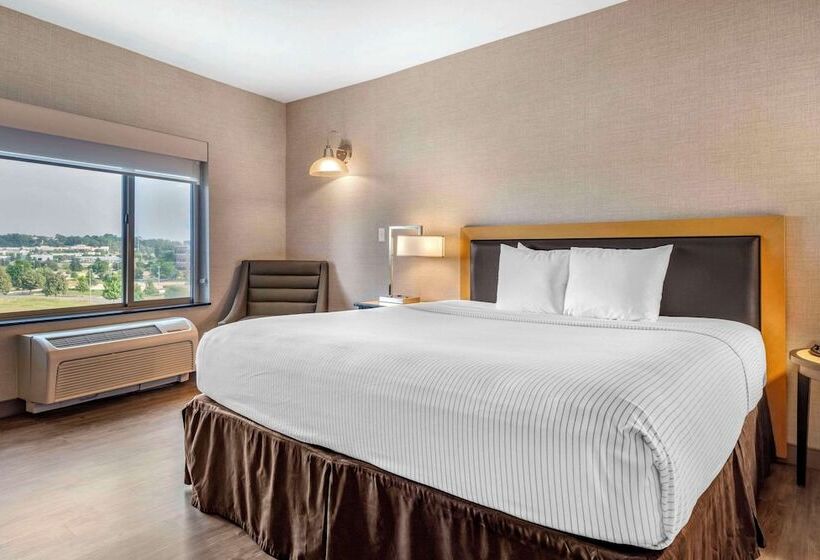 Люкс Кровать Кинг, Cambria Hotel Madison East