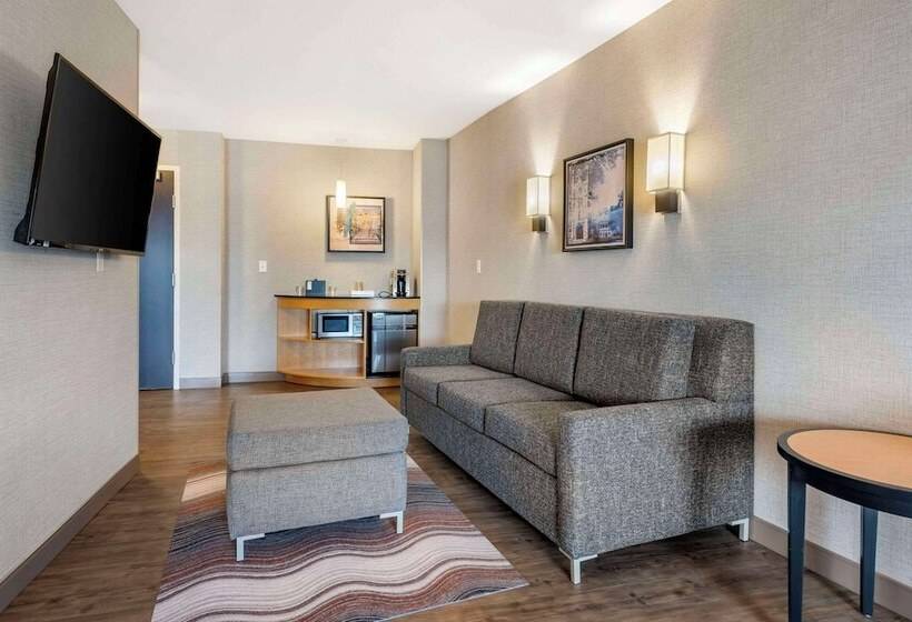 Люкс Адаптированный для Инвалидов, Cambria Hotel Madison East