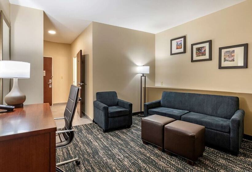 Люкс, Comfort Suites West Memphis I40 I55