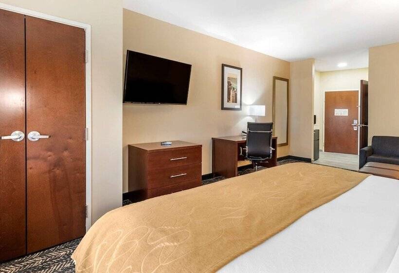 Люкс Адаптированный для Инвалидов, Comfort Suites West Memphis I40 I55