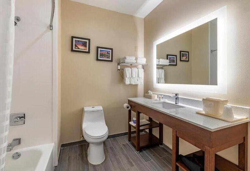 Люкс Кровать Кинг, Comfort Suites West Memphis I40 I55