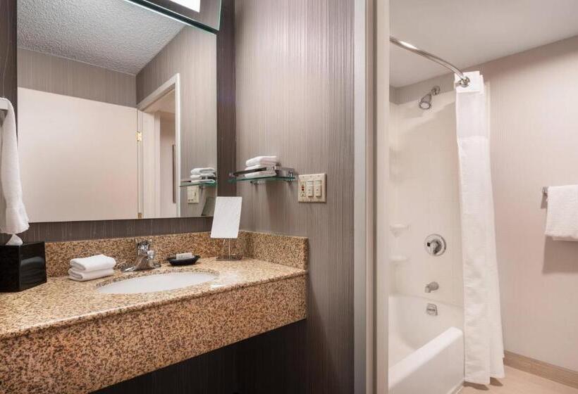 스탠다드 룸 킹사이즈 침대, Courtyard Novato Marin/sonoma