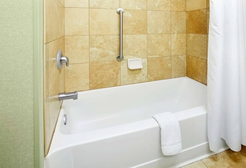 חדר סטנדרט, Hampton Inn & Suites Savannah/midtown