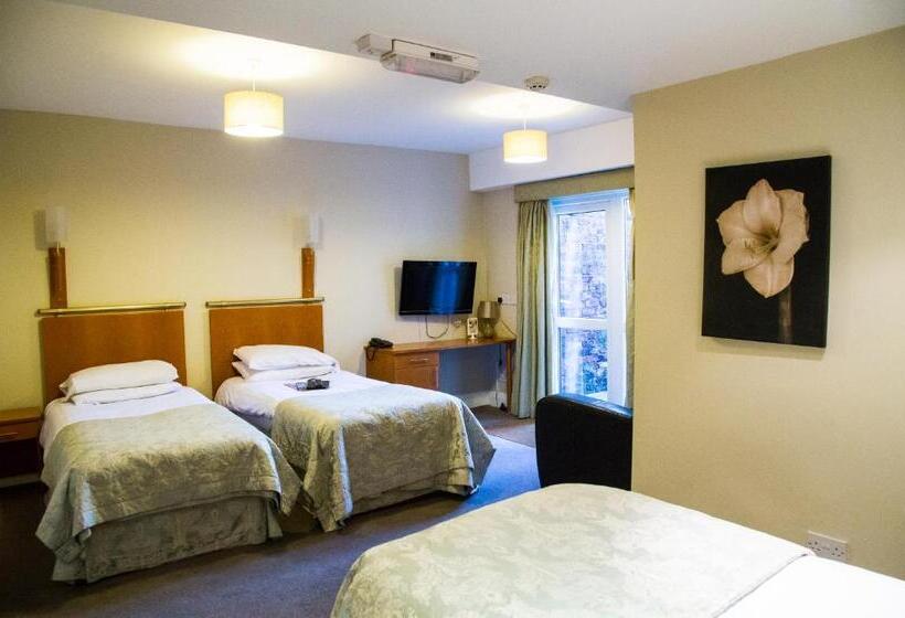 Номер Стандарт Трехместный, Hedley House Hotel & Apartments