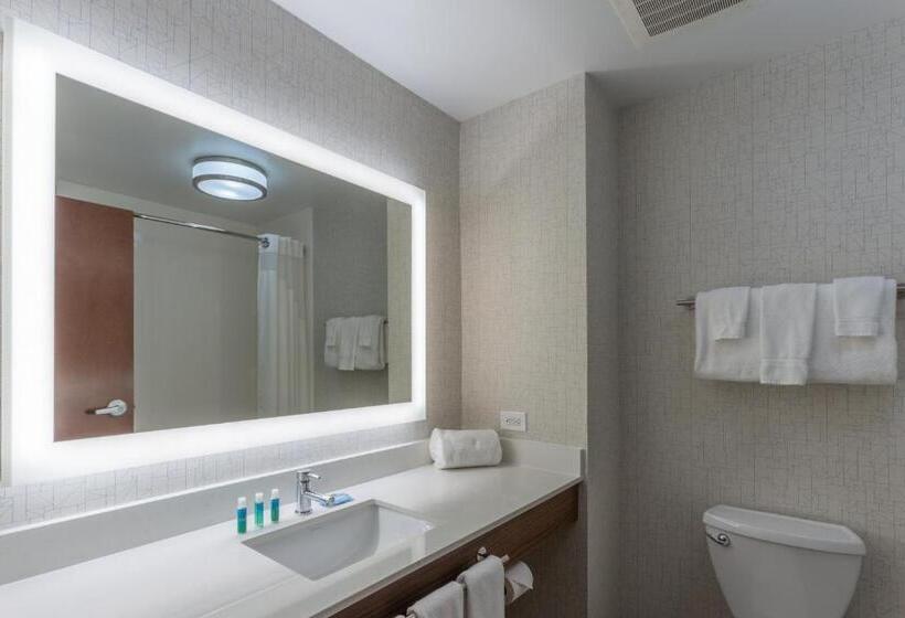 带大床的标准工作室, Holiday Inn Express & Suites Milwaukee Nw   Park Place, An Ihg