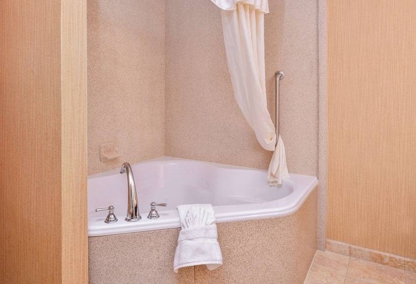 身障者適用スイートルーム, Homewood Suites By Hilton Jacksonville Downtown Southbank