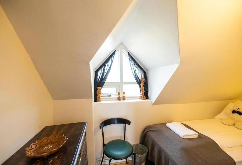 اتاق اکونومی یک تخته, Heidi Guesthouse