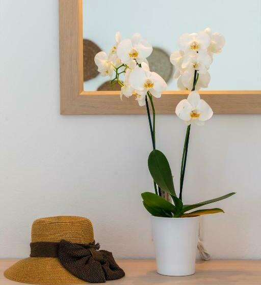 四人标准间, Galinos Hotel For Adults Only