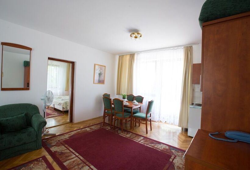 Apartamento Superior 1 Dormitório, Helios Hotel Apartments