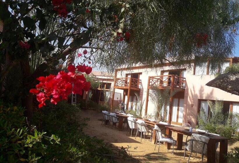 اتاق استاندارد با چشم‌انداز دریا, Nakhil Inn Nuweiba