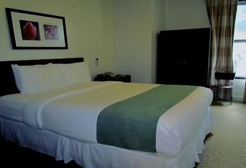 اتاق استاندارد, The Hotel 91