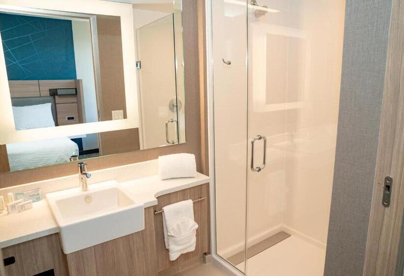 스위트 킹사이즈 침대, Springhill Suites By Marriott Woodbridge