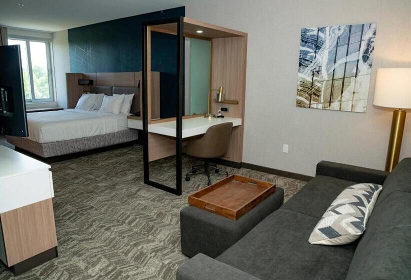 장애인을 위한 스위트, Springhill Suites By Marriott Woodbridge