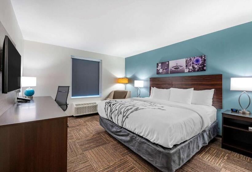 带大床的标准间, Sleep Inn
