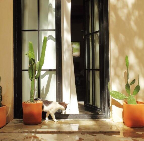 آپارتمان 1 خوابه با چشم‌انداز باغ, Fixie Lofts Slow Life Villa
