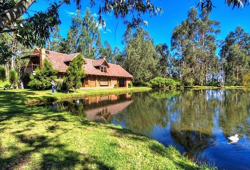 Вилла Superior 1 Спальня, Palumbo Glamping & Villas
