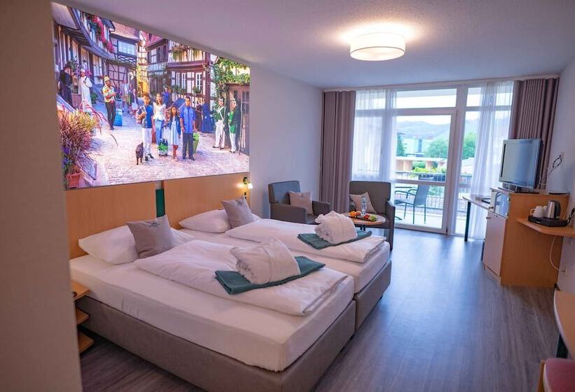 컴포트 싱글 룸, Schwarzwaldhotel Gengenbach