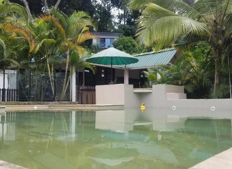 Номер Стандарт Вид на Горы, Waterfall El Paraíso   Cabañas, Jacuzzi, Piscina Y Cascada En Medio De La Naturaleza