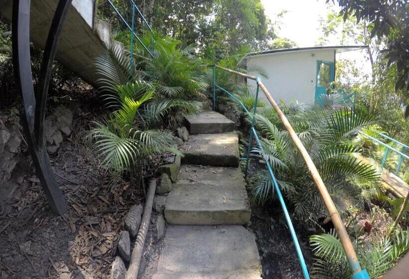Номер Стандарт Вид на Горы, Waterfall El Paraíso   Cabañas, Jacuzzi, Piscina Y Cascada En Medio De La Naturaleza