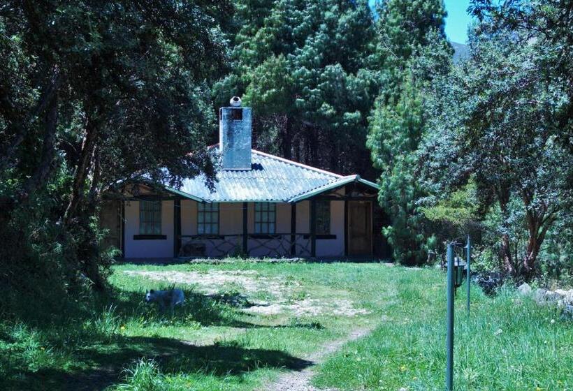 Бунгало Стандарт, Hostería Cabañas Del Pescador