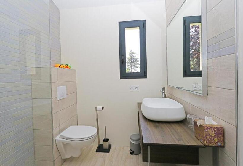 Люкс Вид на Бассейн, L Esprit Du Clain Chambres D Hôtes Bandb De Standing Proches Du Futuroscope Golf Et Lac De St Cyr