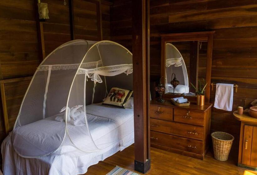 اتاق استاندارد یک نفره, Wanakaset Forest Glamping